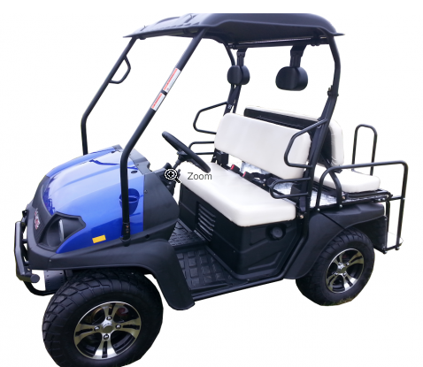 BIG HORN CUV 200GVX 4 SEAT GAS GOLF CART