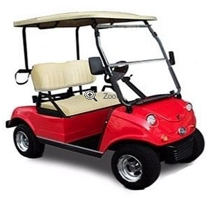 EVOLUTION 2 SEAT ELECTRIC GOLF CART Buggy